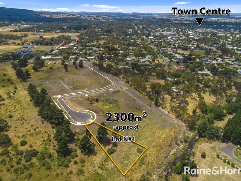 Large Vacant Allotment!