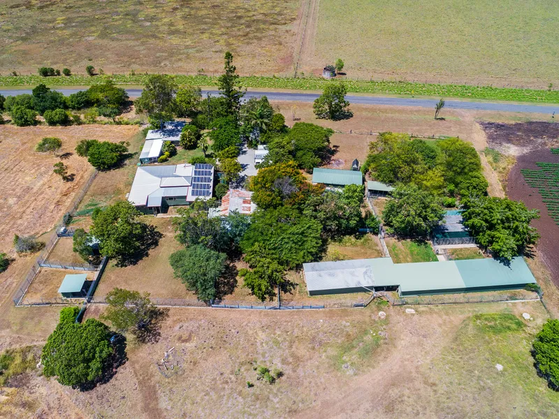 Glorious  Home on Five Acres with Operating Boarding Kennels and Cattery Business