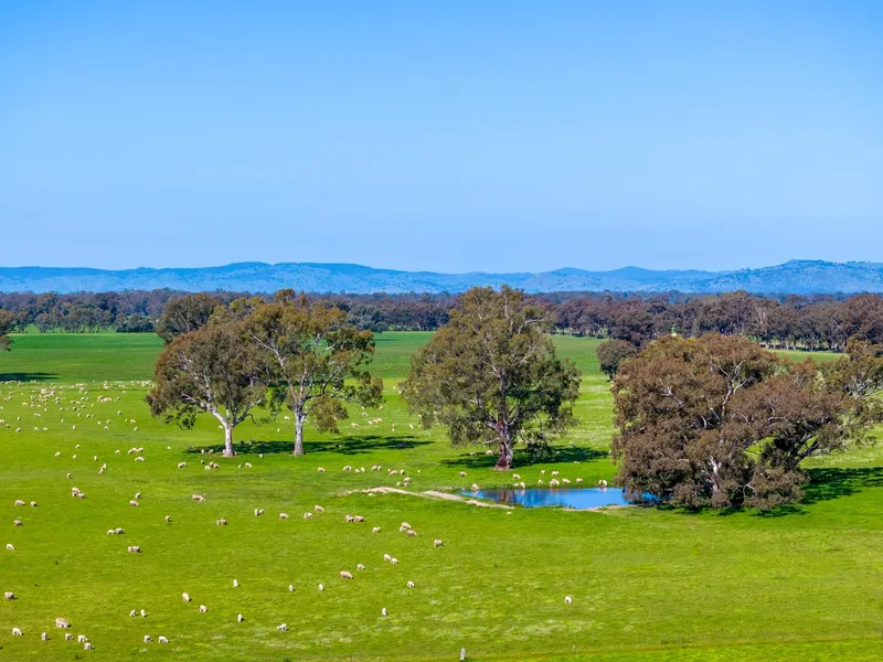 'Balmullin' A renowned grazing enterprise