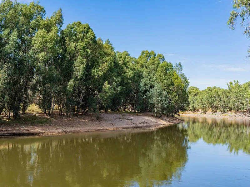 Rare River Property Only Five* Minutes to the Wagga Wagga CBD