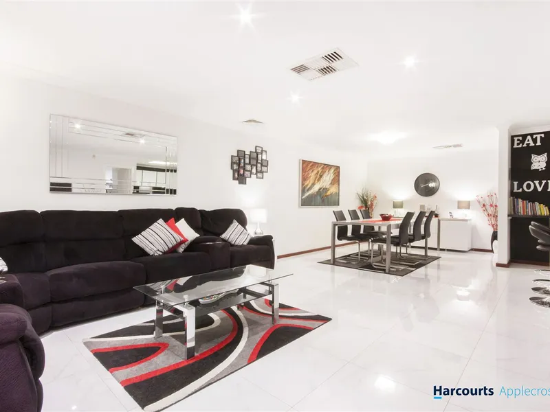 Magnificent Entertainer