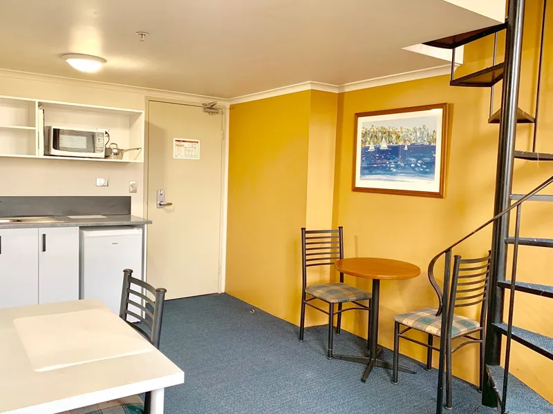 LARGE ONE BEDROOM LOFT STYLE UNIT WITH AIR CON