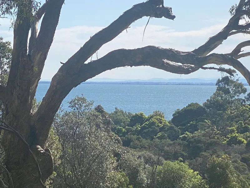 One of the most beautiful blocks, in one of Victoria’s most beautiful seaside towns, 16 Grevillea Avenue, Metung.