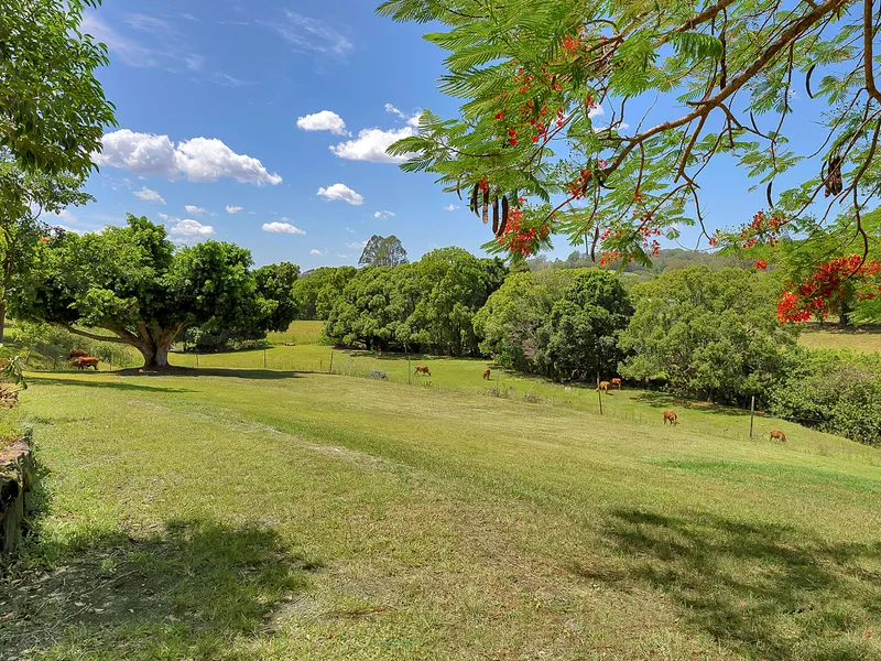 1120m2 of Land Priced to Sell at $309,900