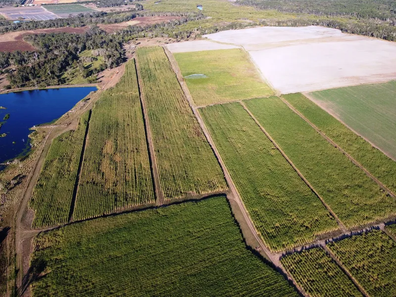 358 ACRE CANE FARM - QUALITY SOILS - WITH 2 WATER SOURCES