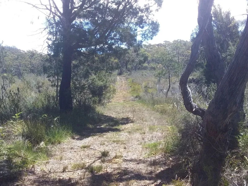5 ACRES, WALK TO BEACH