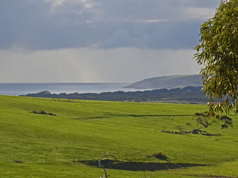 54ha (133 acres), zoned primary production