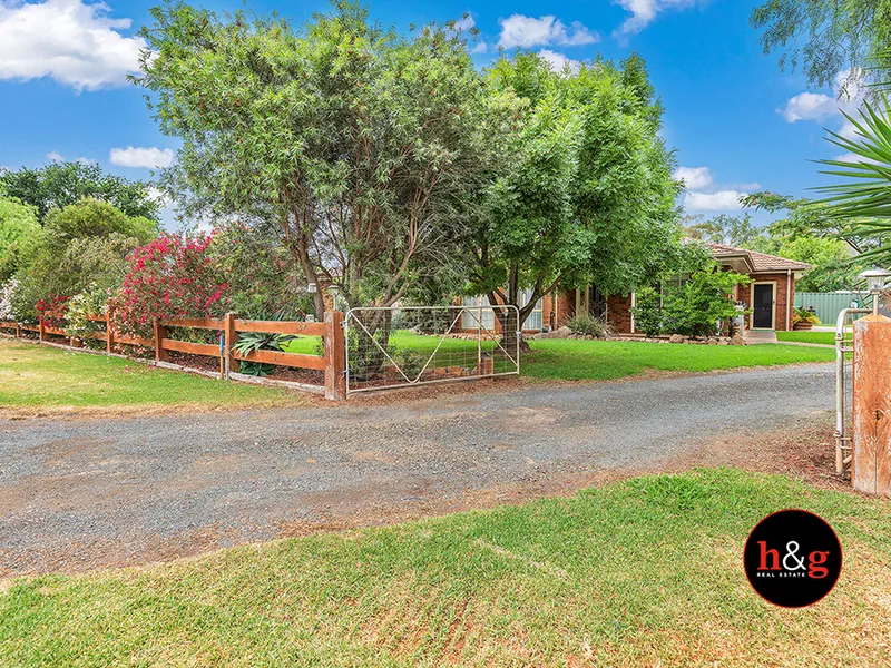 The Lifestyle You Want