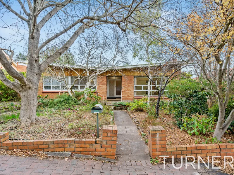 3 Bedroom Home in a Great Location