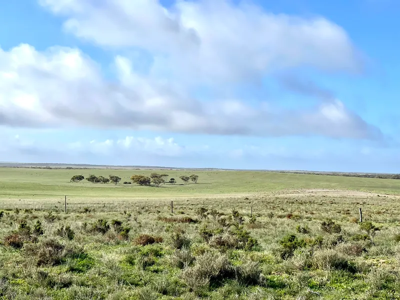 Maltee land For Sale - 26k from Ceduna
