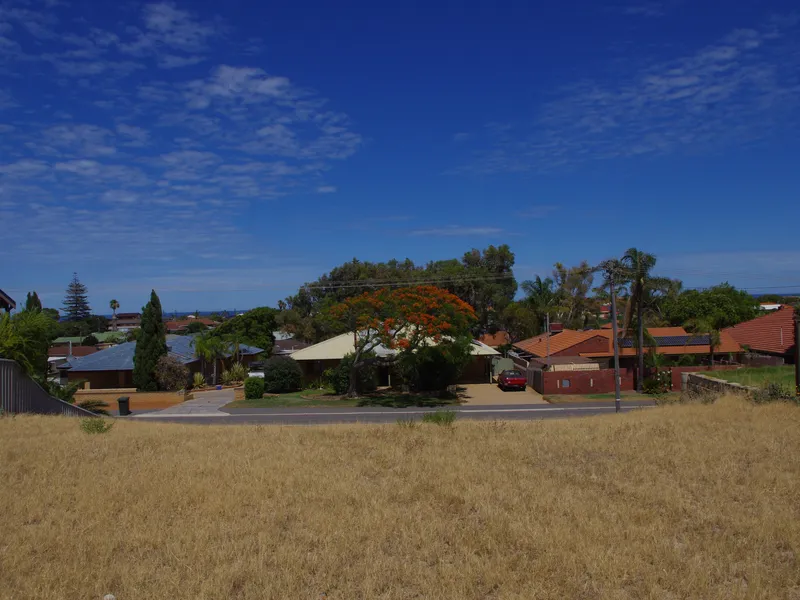 MOUNT TARCOOLA SPECIAL