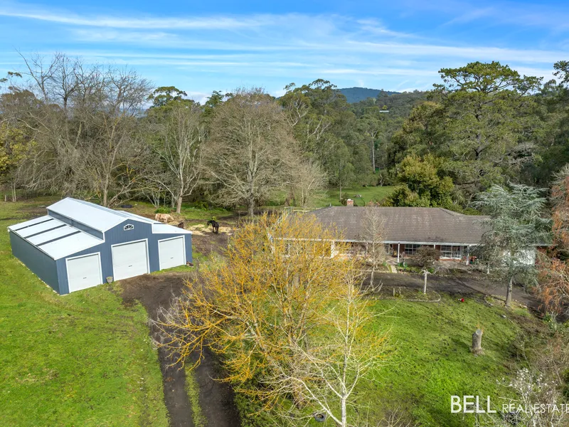 Lifestyle Property of over 5 acres abutting the Rail Trail and Little Yarra River!