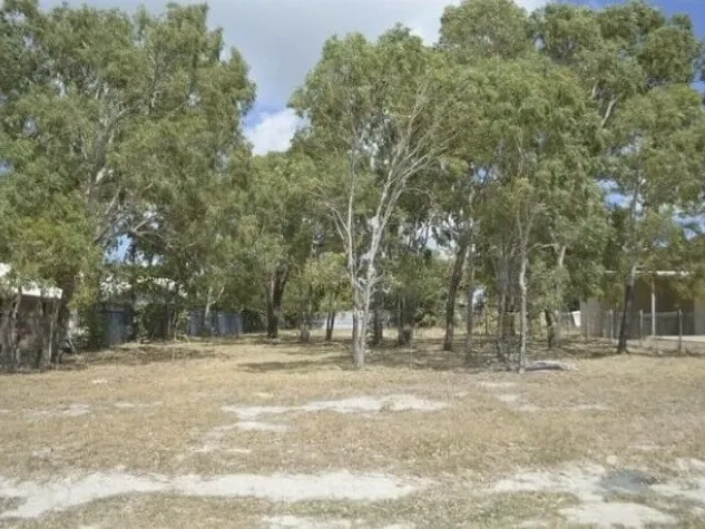 Investment Opportunity