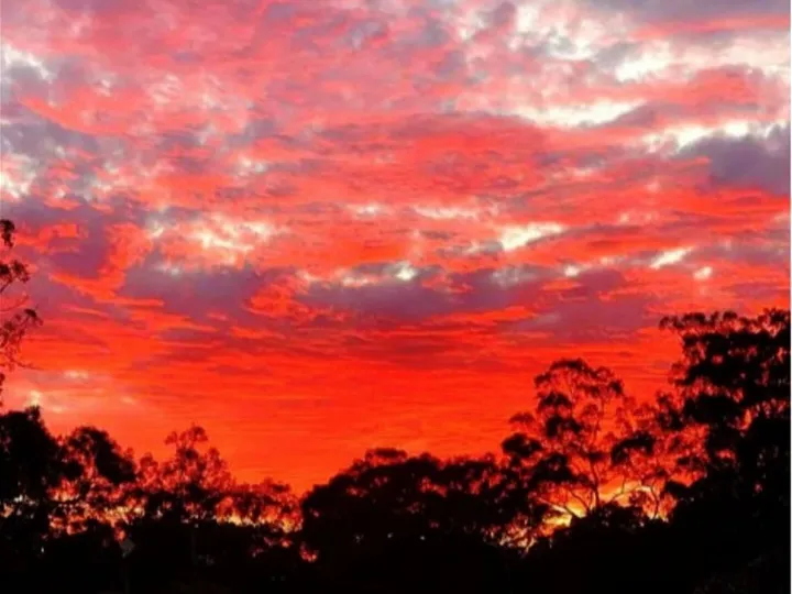 Dream Acreage Close to Town