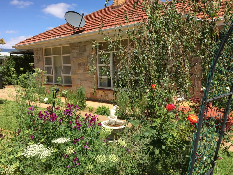 Great Value for Money