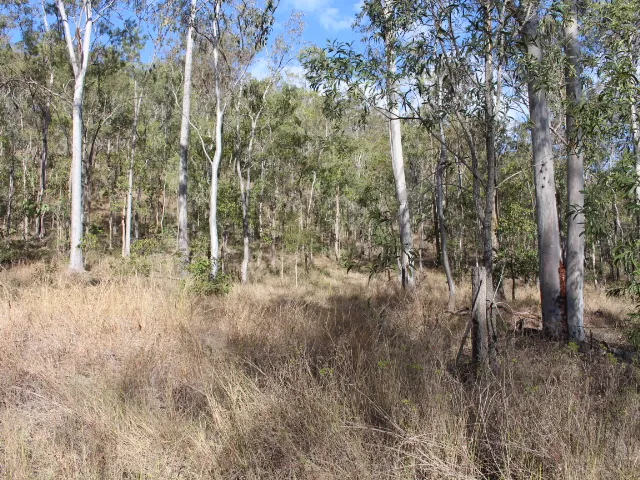 32 ACRE LIFESTYLE BLOCK IN THE GOYAN VALLEY