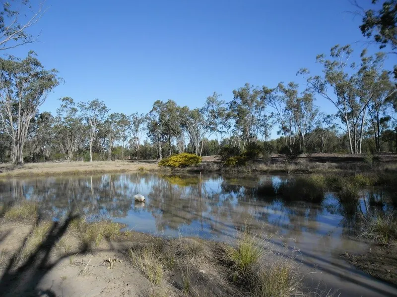 Commercial Potential