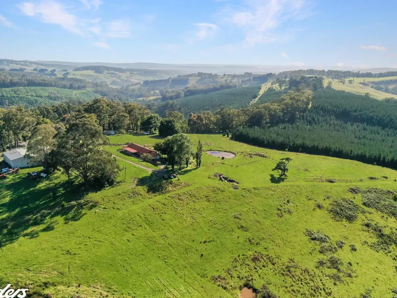 ELEVATED SERENITY, ENDLESS VIEWS AND ACREAGE AWAITS!