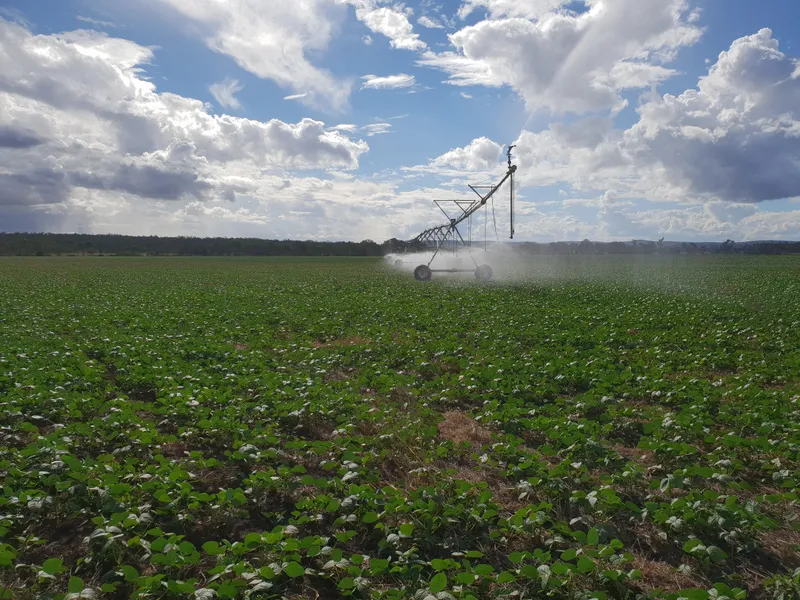 'Remington Park', Byee Valley Irrigation