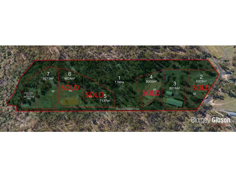 Only Lot 7 remaining - vacant acres !! See details below