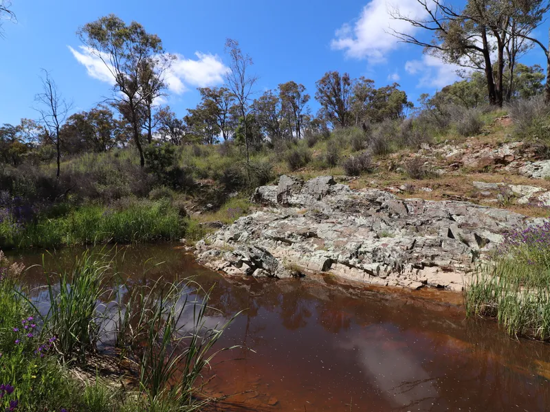 40 hectares on the doorstep of the National Capital