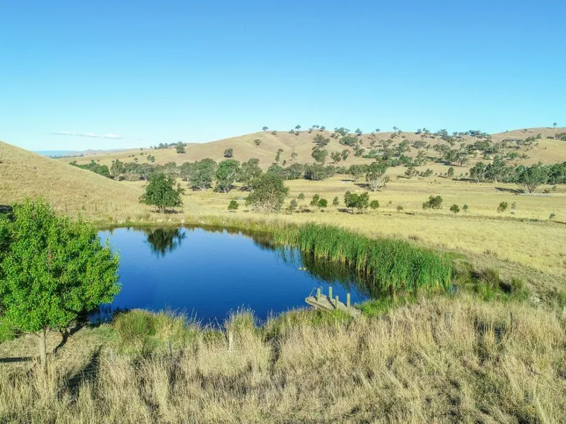 100 productive acres with abundant water