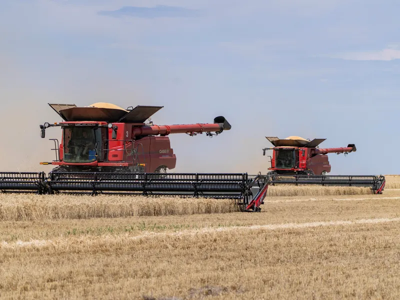 Open, Fertile Cropping Country at Scale