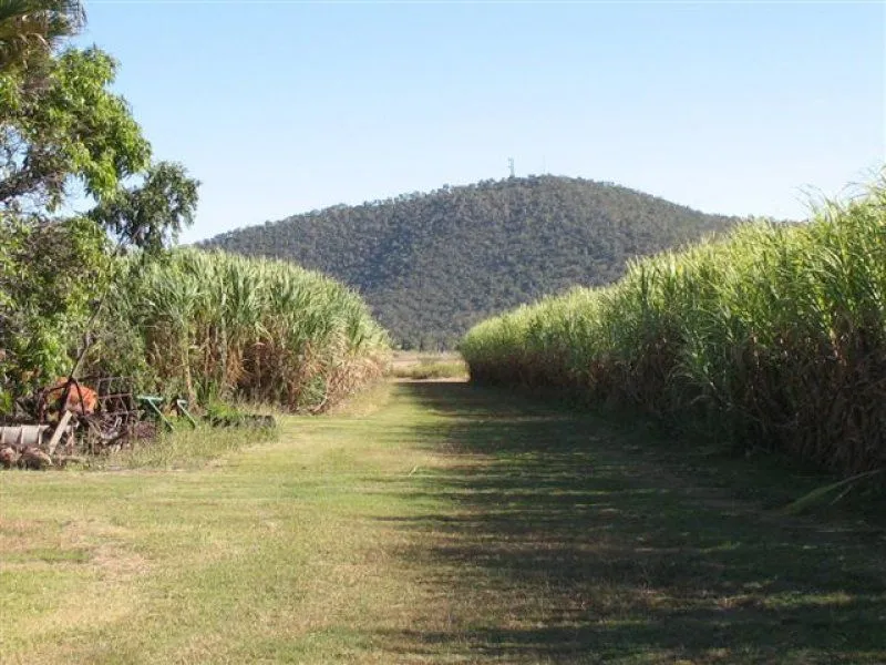 Inkerman Cane Farm with Water
