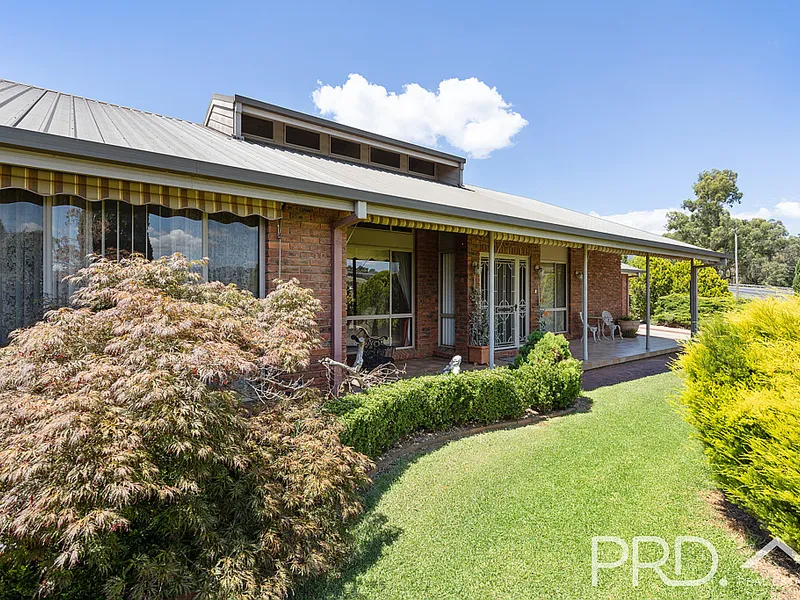 Free-Flowing Family Entertainer!