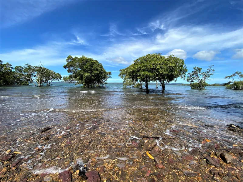 THIS UNIQUE WATERFRONT COULD BE YOURS