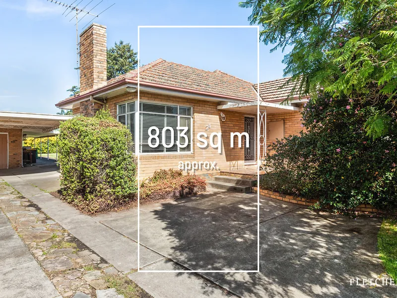 Perfectly Preserved & Loaded with Potential