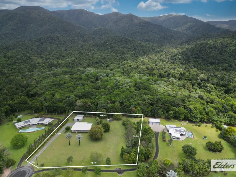 What a backdrop! Rainforest AND Mountains