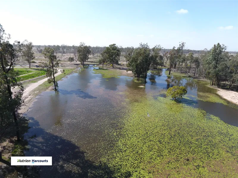 HUGE Price Reduction - Excellent Horse/Piggery Property