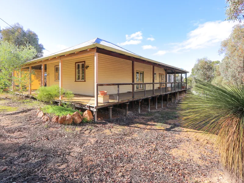 THE ONE YOU WAITED FOR!