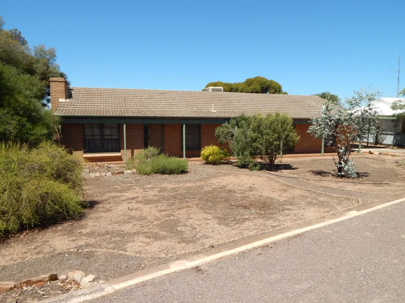 New Release Family Home on Large Block