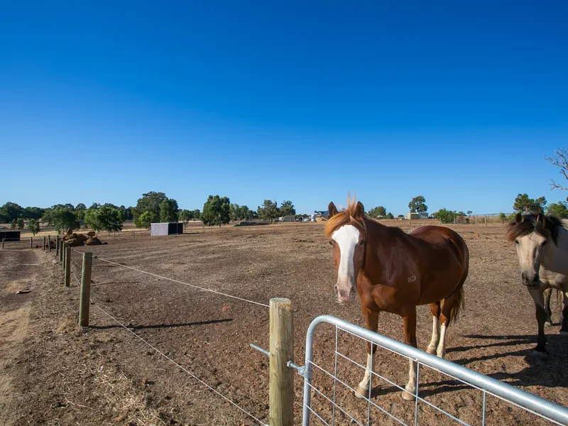 Live The Dream and Have It All