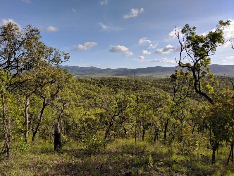 560 ACRE ESCAPE NOW $348,000