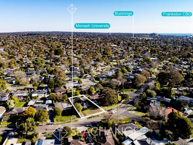 Unleash Your Imagination