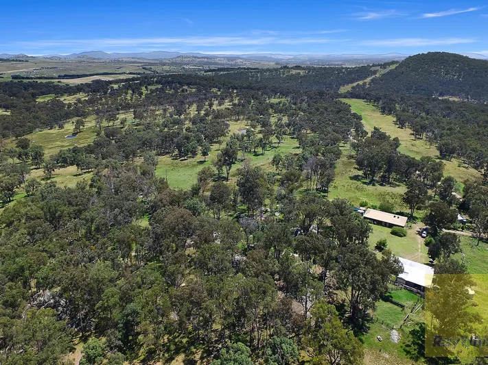 History and Potential