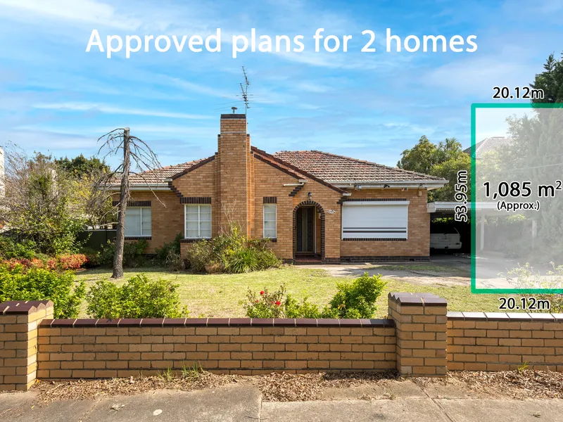 Enormous, Untapped Essendon Potential