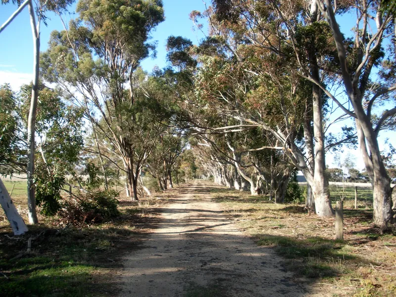 'Rocklands' - The Ultimate Blank Canvas