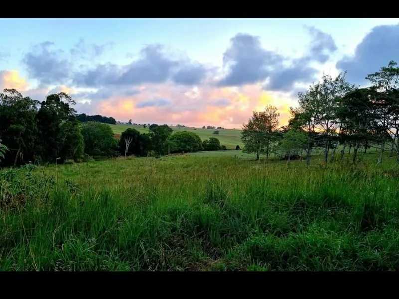 Peaceful property with plenty of room