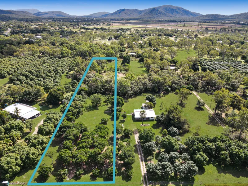 Acreage Opportunity - Vacant 2.5 acres in Alligator Creek
