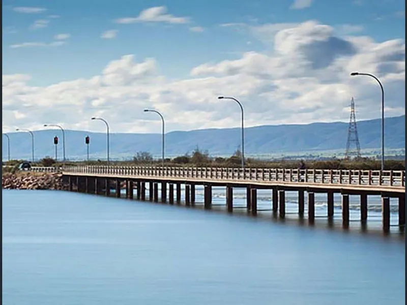 One In The Hand, Two In The Bush !!