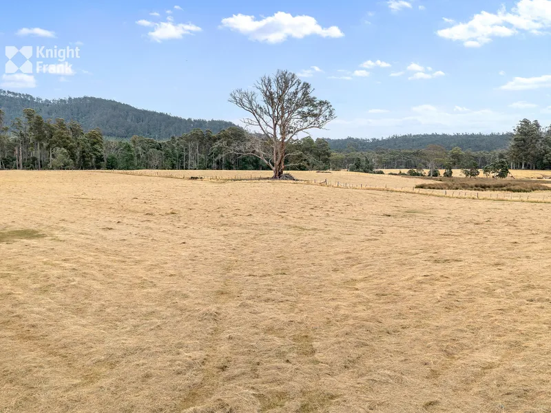 Country, With Character