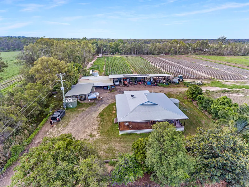 4 bedroom home on 12 acres with 14 meg of water allocation