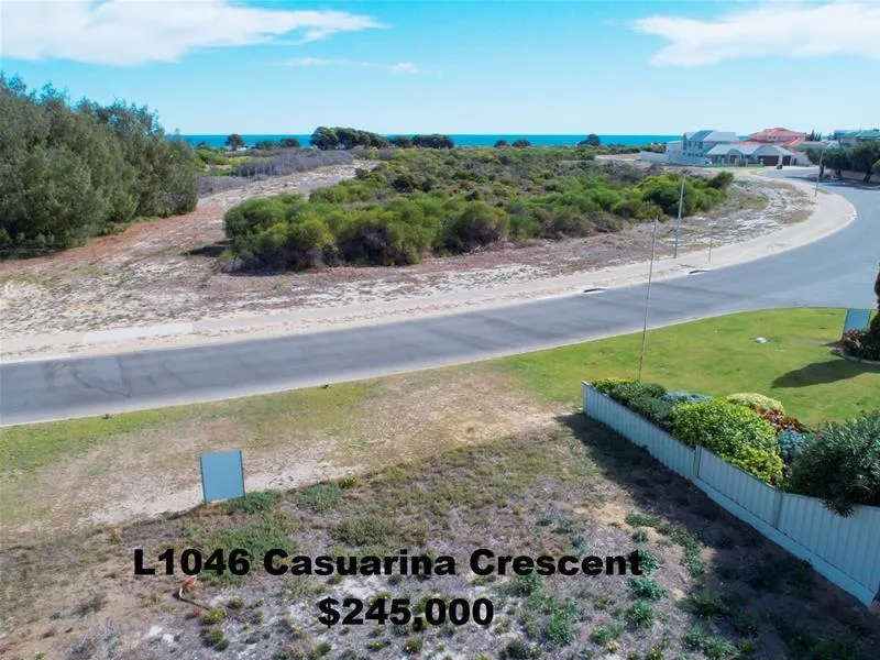 RARE CASUARINA CRESCENT BLOCK