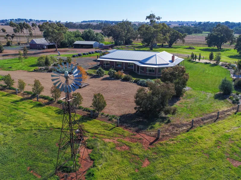 THE JEWEL IN THE CROWN OF THE MOUNT CAMEL RANGE