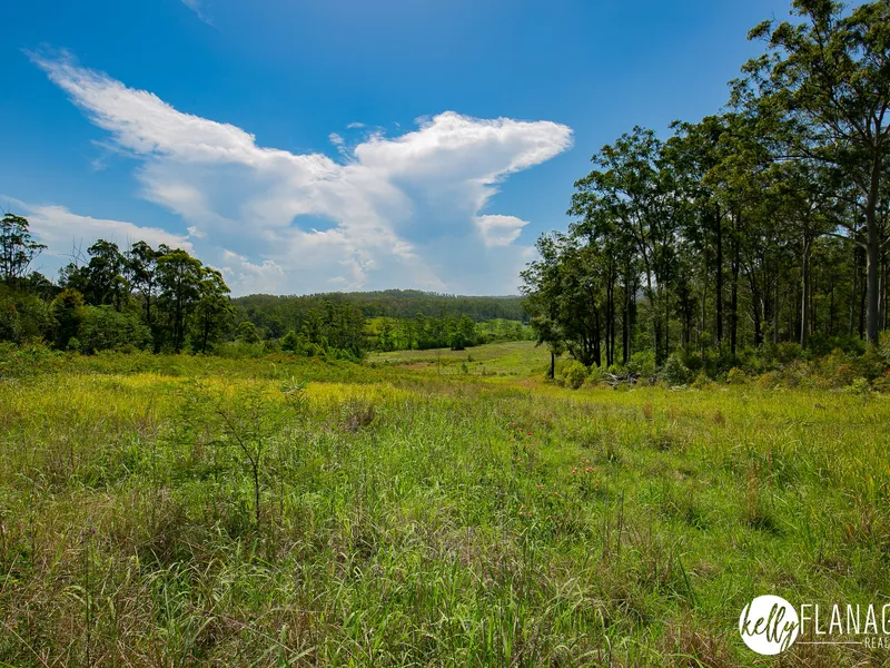 Big Acres, Creek, 3 Titles, Bordering State Forest, 30 Minutes To Kempsey - 80.53Ha. (198.98Ac)