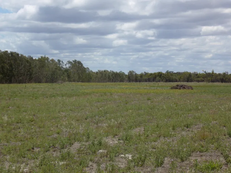 556 ACRES GREY SAND CULTIVATION OPPORTUNITY